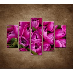 Obrazy na stenu - Krásne tulipány - 5dielny 150x100cm