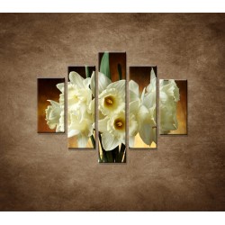 Obrazy na stenu - Narcisy - 5dielny 100x80cm