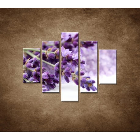Obrazy na stenu - Kvet levandule - 5dielny 100x80cm