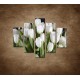 Obrazy na stenu - Biele tulipány - 5dielny 100x80cm