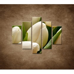 Obrazy na stenu - Kytica tulipánov - detail - 5dielny 100x80cm