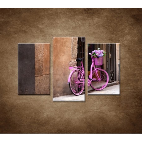 Obrazy na stenu - Ružový bicykel - 3dielny 75x50cm