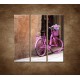 Obrazy na stenu - Ružový bicykel - 3dielny 90x90cm