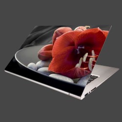 Nálepka na notebook - Červená amarylka