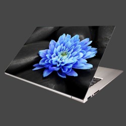 Nálepka na notebook - Modrý kvet na kameňoch