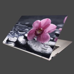 Nálepka na notebook - Ružová orchidea na kameni