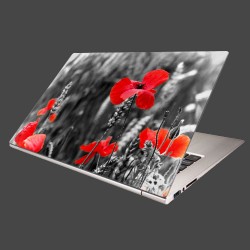 Nálepka na notebook - Červené vlčie maky 