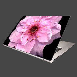 Nálepka na notebook - Kvet čerešne 
