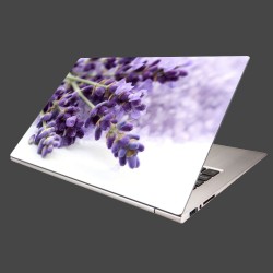 Nálepka na notebook - Kvet levandule
