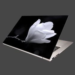 Nálepka na notebook - Kvet magnólie 