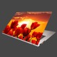 Nálepka na notebook - Západ slnka nad tulipánmi 