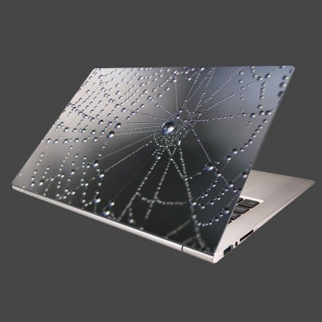 Nálepka na notebook - Makro - pavučina