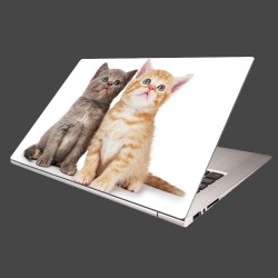 Nálepka na notebook - Dve mačiatká