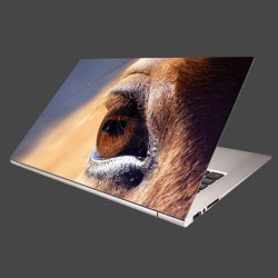 Nálepka na notebook - Koňské oko - detail
