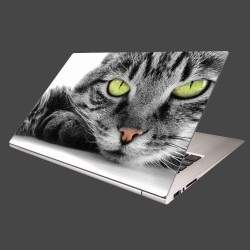 Nálepka na notebook - Mačací pohľad
