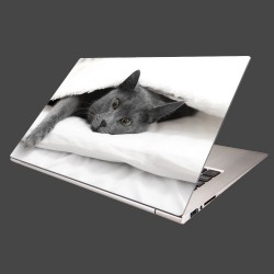 Nálepka na notebook - Odpočívajúca mačka