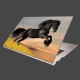 Nálepka na notebook - Skákajúci kôň