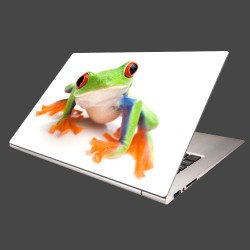 Nálepka na notebook - Žaba