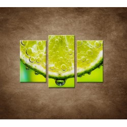 Obrazy na stenu - Plátok citróna - 3dielny 75x50cm