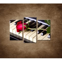 Obrazy na stenu - Ruža na klavíri - 3dielny 75x50cm