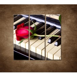 Obrazy na stenu - Ruža na klavíri - 3dielny 90x90cm