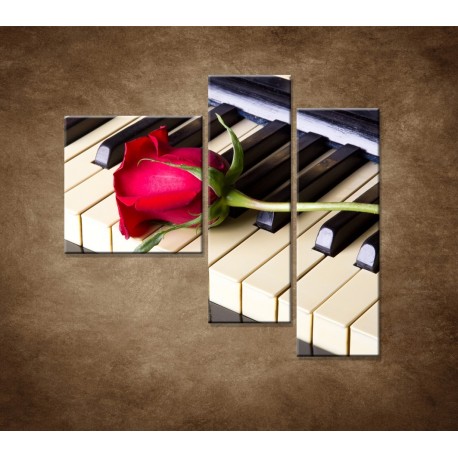 Obrazy na stenu - Ruža na klavíri - 3dielny 110x90cm