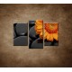 Obrazy na stenu - Oranžová gerbera na kameňoch - 3dielny 75x50cm