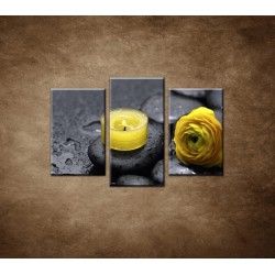 Obrazy na stenu - Žltá sviečka a kvet - 3dielny 75x50cm