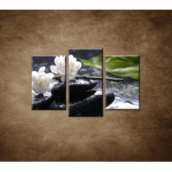 Obrazy na stenu - Sakura na kameni - 3dielny 75x50cm