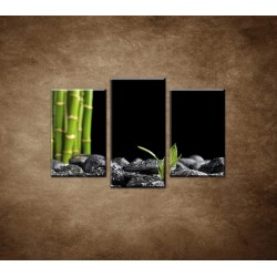 Obrazy na stenu - Čierne kamene a bambus - 3dielny 75x50cm