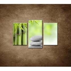  Obrazy na stenu - Kamene a bambus - 3dielny 75x50cm