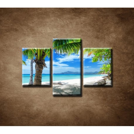 Obrazy na stenu - Pláž s palmou - 3dielny 75x50cm
