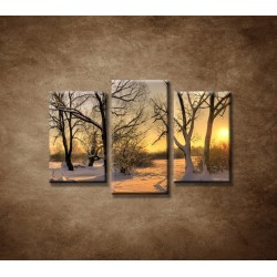 Obrazy na stenu - Krajina v zime - 3dielny 75x50cm