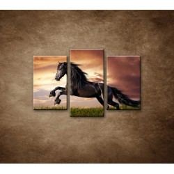 Obrazy na stenu - Čierny kôň - 3dielny 75x50cm