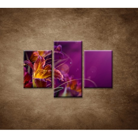 Obrazy na stenu - Fialové kvety - 3dielny 90x60cm