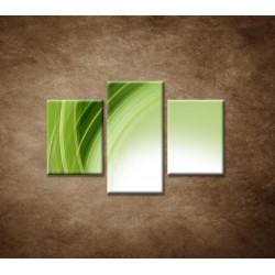 Obrazy na stenu - Zelený polkruh - 3dielny 90x60cm