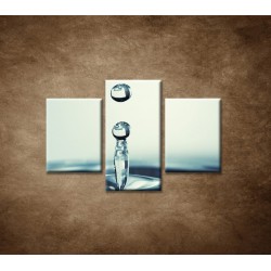 Obrazy na stenu - Kvapka vody - 3dielny 90x60cm