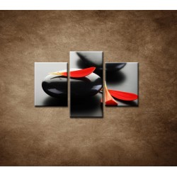 Obrazy na stenu - Čierny kameň s červeným lupeňom - 3dielny 90x60cm