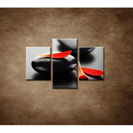 Obrazy na stenu - Čierny kameň s červeným lupeňom - 3dielny 90x60cm