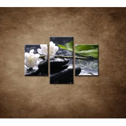 Obrazy na stenu - Sakura na kameni - 3dielny 90x60cm