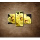 Obrazy na stenu - Žltá orchidea s kameňmi - 3dielny 90x60cm