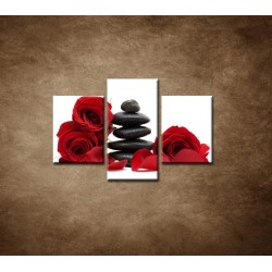 Obrazy na stenu - Čierne kamene a červené ruže - 3dielny 90x60cm