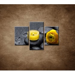 Obrazy na stenu - Žltá sviečka a kvet - 3dielny 90x60cm