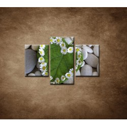Obrazy na stenu - Srdce z kvetov - 3dielny 90x60cm