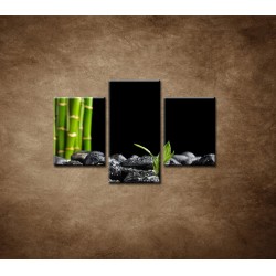 Obrazy na stenu - Čierne kamene a bambus - 3dielny 90x60cm