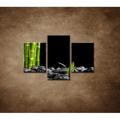 Obrazy na stenu - Čierne kamene a bambus - 3dielny 90x60cm