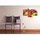 Obrazy na stenu - Červené a zelené jablká - 3dielny 90x60cm