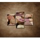 Obrazy na stenu - Korky od vína - 3dielny 90x60cm