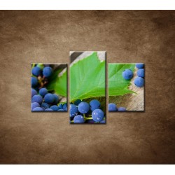 Obrazy na stenu - Modré hrozno - 3dielny 90x60cm