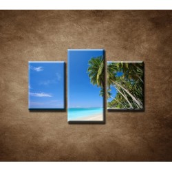 Obrazy na stenu - Pláž s palmami - 3dielny 90x60cm
